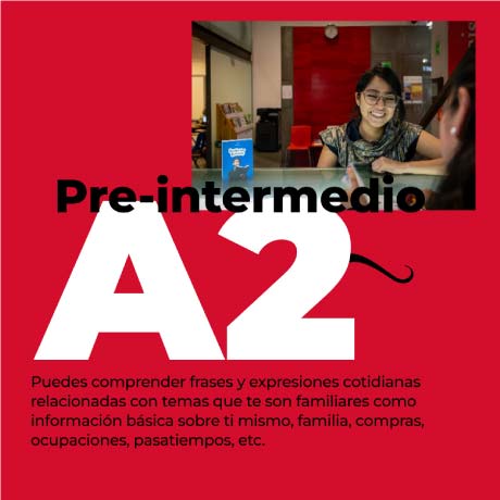 cursos de francés que ofrece la escuela de idiomas Alianza Francesa en México